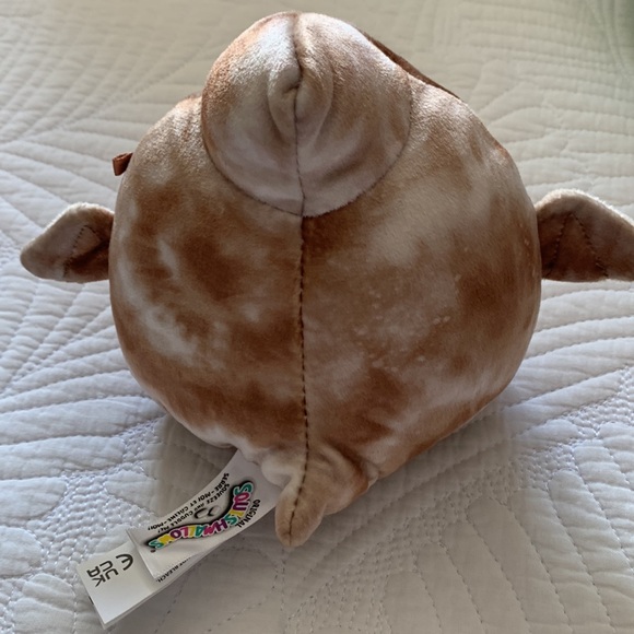 Edmund the Pterodactyl is a brown Squishmallow from the Summer Squad.BNWOT 5” - Picture 2 of 2
